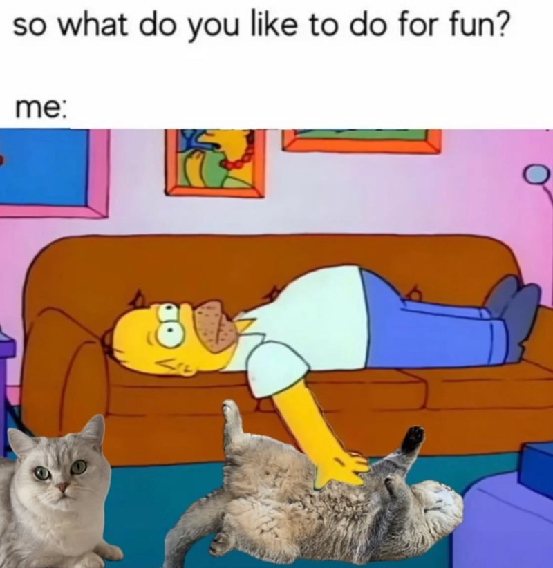 so what do you like to do for fun? me: ९