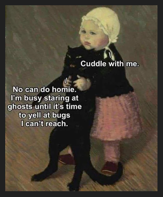 No can do homie. I'm busy staring at ghosts until it's time to yell at bugs I can't reach. Cuddle with me.