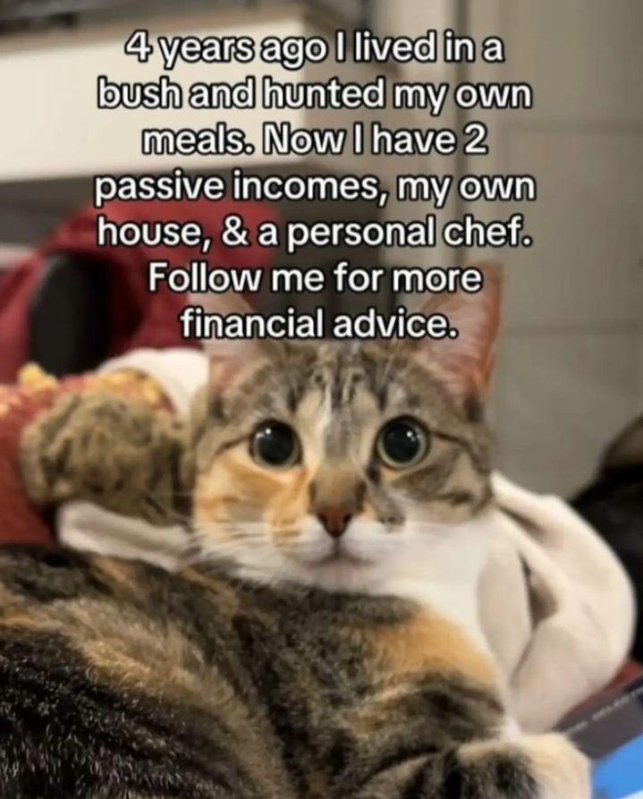 4 years ago I lived in a bush and hunted my own meals. Now I have 2 passive incomes, my own house, & a personal chef. Follow me for more financial advice.
