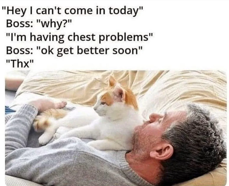 "Hey I can't come in today" Boss: "why?" "I'm having chest problems" Boss: "ok get better soon" "Thx"