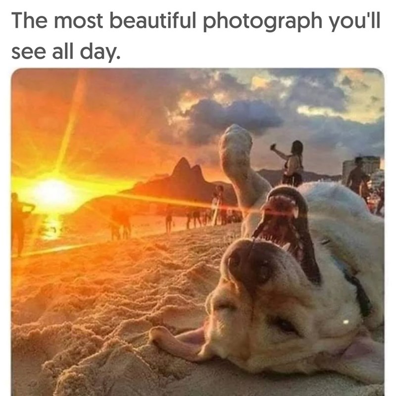 The most beautiful photograph you'll see all day.