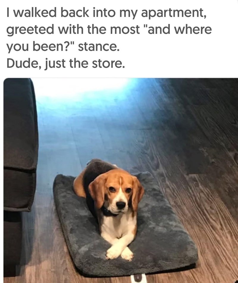 I walked back into my apartment, greeted with the most "and where you been?" stance. Dude, just the store.