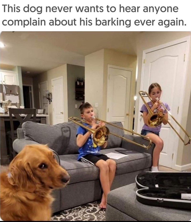 This dog never wants to hear anyone complain about his barking ever again.