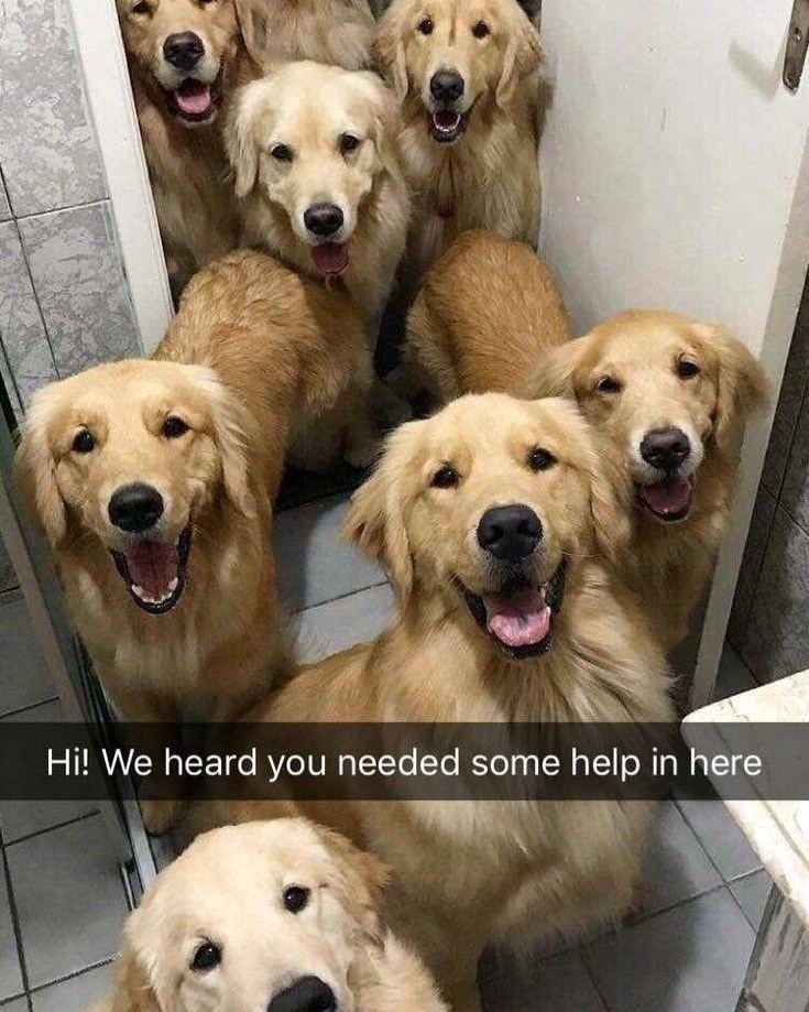 Hi! We heard you needed some help in here