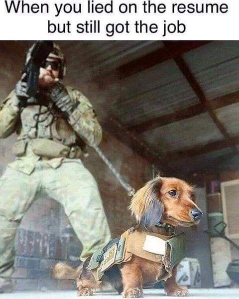 When you lied on the resume but still got the job
