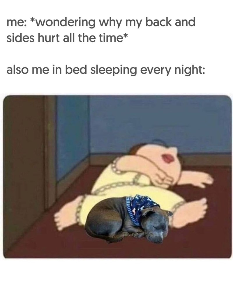 me: *wondering why my back and sides hurt all the time* also me in bed sleeping every night: