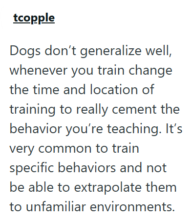 tcopple Dogs don't generalize well, whenever you train change the time and location of training to really cement the behavior you're teaching. It's very common to train specific behaviors and not be able to extrapolate them to unfamiliar environments.