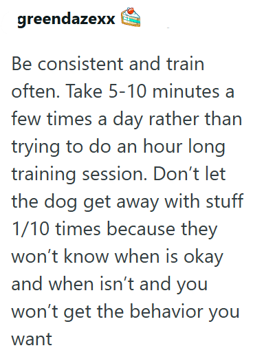 greendazexx Be consistent and train often. Take 5-10 minutes a few times a day rather than trying to do an hour long training session. Don't let the dog get away with stuff 1/10 times because they won't know when is okay and when isn't and you won't get the behavior you want