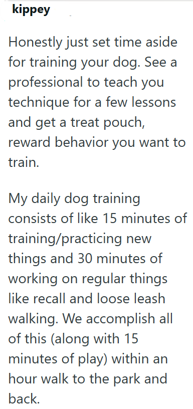 kippey Honestly just set time aside for training your dog. See a professional to teach you technique for a few lessons and get a treat pouch, reward behavior you want to train. My daily dog training consists of like 15 minutes of training/practicing new things and 30 minutes of working on regular things like recall and loose leash walking. We accomplish all of this (along with 15 minutes of play) within an hour walk to the park and back.