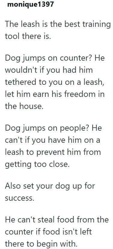 monique1397 The leash is the best training tool there is. Dog jumps on counter? He wouldn't if you had him tethered to you on a leash, let him earn his freedom in the house. Dog jumps on people? He can't if you have him on a leash to prevent him from getting too close. Also set your dog up for success. He can't steal food from the counter if food isn't left there to begin with.
