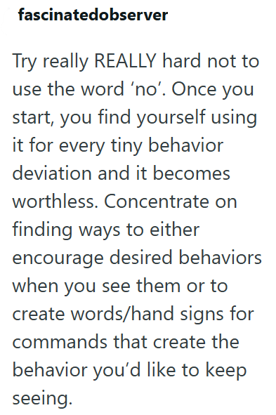 fascinatedobserver Try really REALLY hard not to use the word 'no'. Once you start, you find yourself using it for every tiny behavior deviation and it becomes worthless. Concentrate on finding ways to either encourage desired behaviors when you see them or to create words/hand signs for commands that create the behavior you'd like to keep seeing.