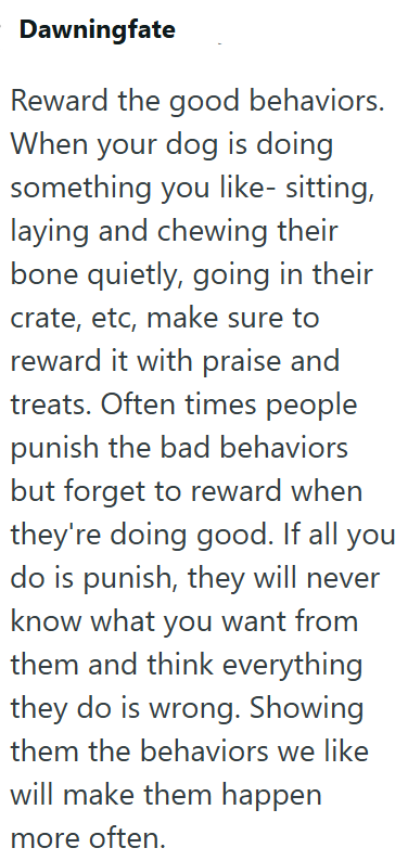 Dawningfate Reward the good behaviors. When your dog is doing something you like- sitting, laying and chewing their bone quietly, going in their crate, etc, make sure to reward it with praise and treats. Often times people punish the bad behaviors but forget to reward when they're doing good. If all you do is punish, they will never know what you want from them and think everything they do is wrong. Showing them the behaviors we like will make them happen more often.