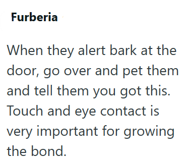 Furberia When they alert bark at the door, go over and pet them and tell them you got this. Touch and eye contact is very important for growing the bond.