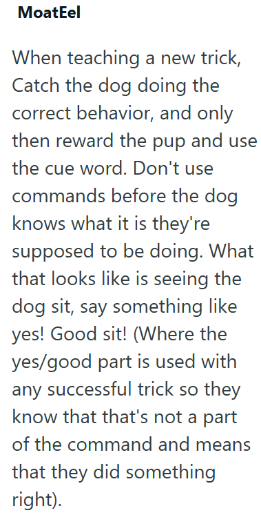 MoatEel When teaching a new trick, Catch the dog doing the correct behavior, and only then reward the pup and use the cue word. Don't use commands before the dog knows what it is they're supposed to be doing. What that looks like is seeing the dog sit, say something like yes! Good sit! (Where the yes/good part is used with any successful trick so they know that that's not a part of the command and means that they did something right).