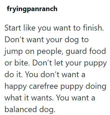 fryingpanranch Start like you want to finish. Don't want your dog to jump on people, guard food or bite. Don't let your puppy do it. You don't want a happy carefree puppy doing what it wants. You want a balanced dog.