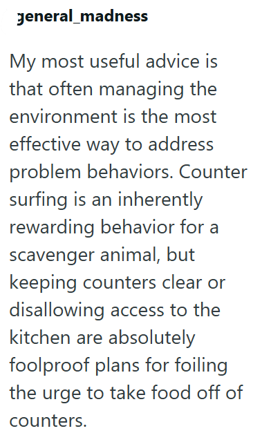 general_madness My most useful advice is that often managing the environment is the most effective way to address problem behaviors. Counter surfing is an inherently rewarding behavior for a scavenger animal, but keeping counters clear or disallowing access to the kitchen are absolutely foolproof plans for foiling the urge to take food off of counters.