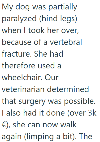 My dog was partially paralyzed (hind legs) when I took her over, because of a vertebral fracture. She had therefore used a wheelchair. Our veterinarian determined that surgery was possible. I also had it done (over 3k €), she can now walk again (limping a bit). The