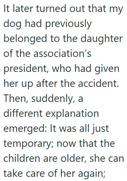 It later turned out that my dog had previously belonged to the daughter of the association's president, who had given her up after the accident. Then, suddenly, a different explanation emerged: It was all just temporary; now that the children are older, she can take care of her again;