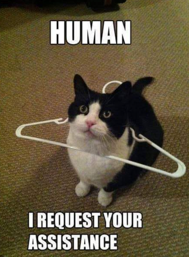 HUMAN I REQUEST YOUR ASSISTANCE
