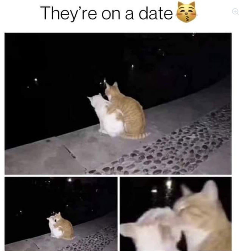 They're on a date