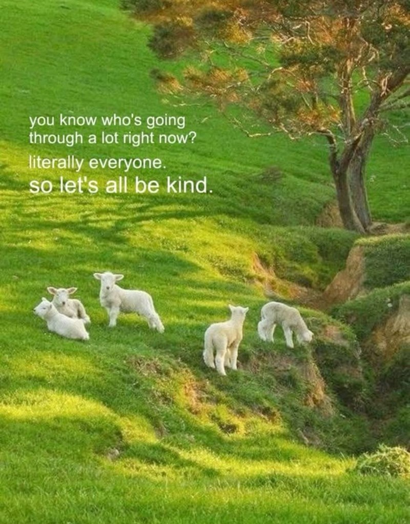you know who's going through a lot right now? literally everyone. so let's all be kind.