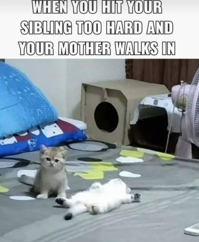 WHEN YOU HIT YOUR SIBLING TOO HARD AND YOUR MOTHER WALKS IN
