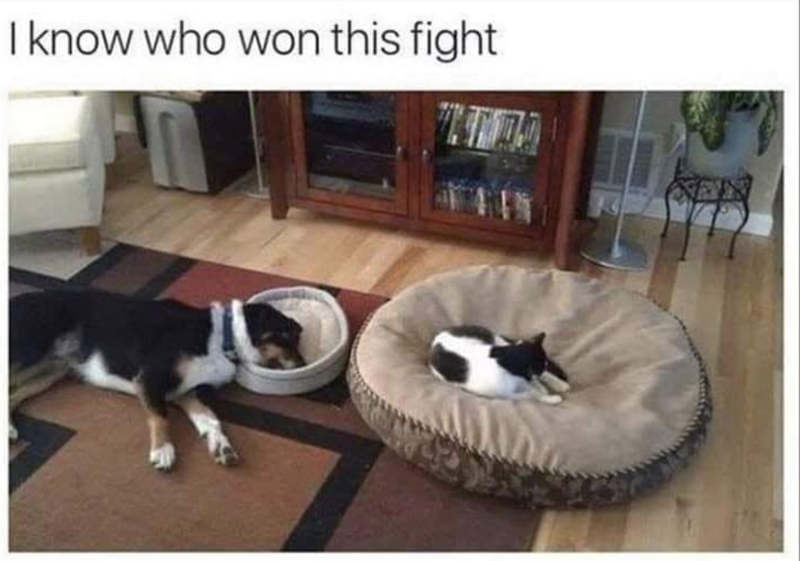I know who won this fight