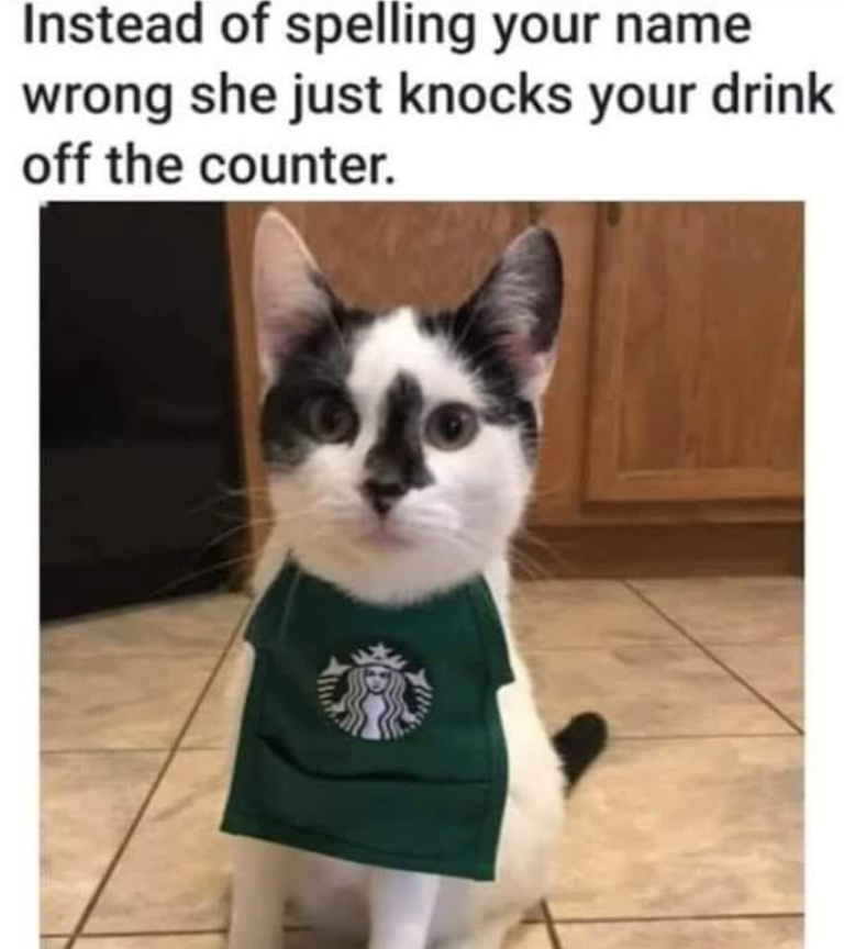 Instead of spelling your name wrong she just knocks your drink off the counter.