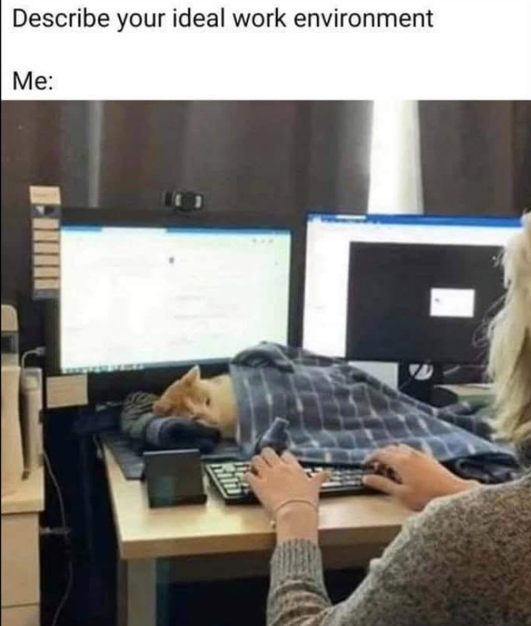 Describe your ideal work environment Me: