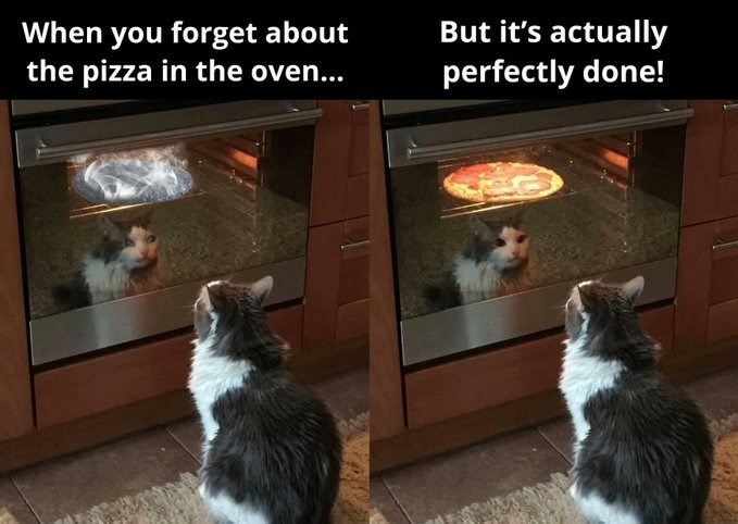 When you forget about the pizza in the oven... But it's actually perfectly done!