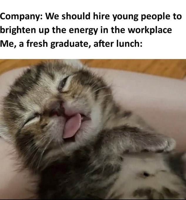 Company: We should hire young people to brighten up the energy in the workplace Me, a fresh graduate, after lunch: