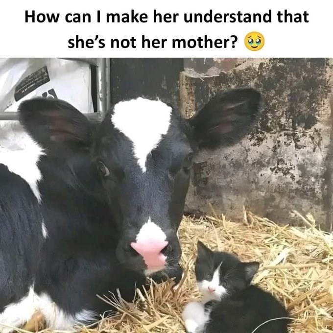How can I make her understand that she's not her mother?