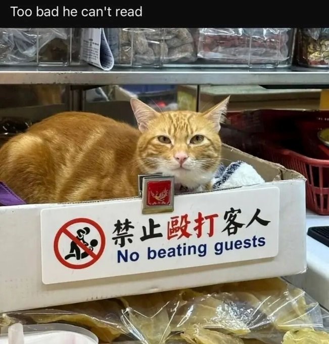 Too bad he can't read 禁止毆打客人 No beating guests