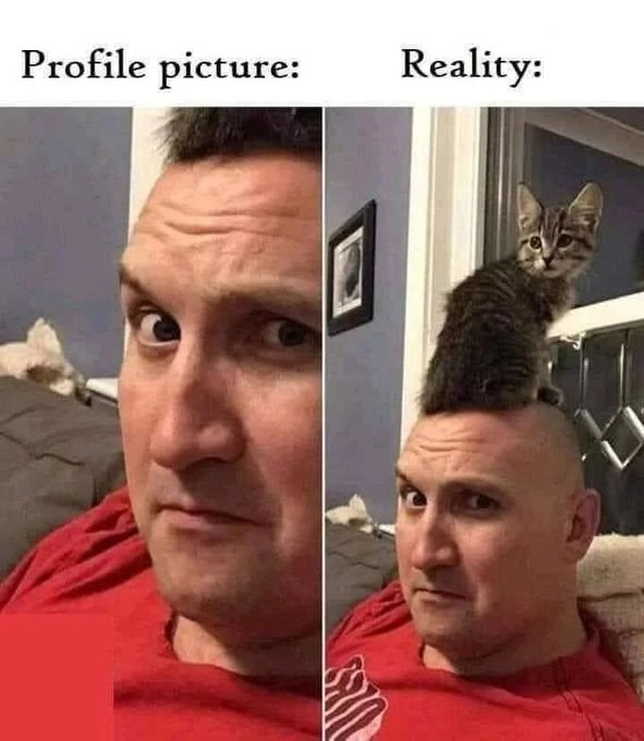 Profile picture: Reality: