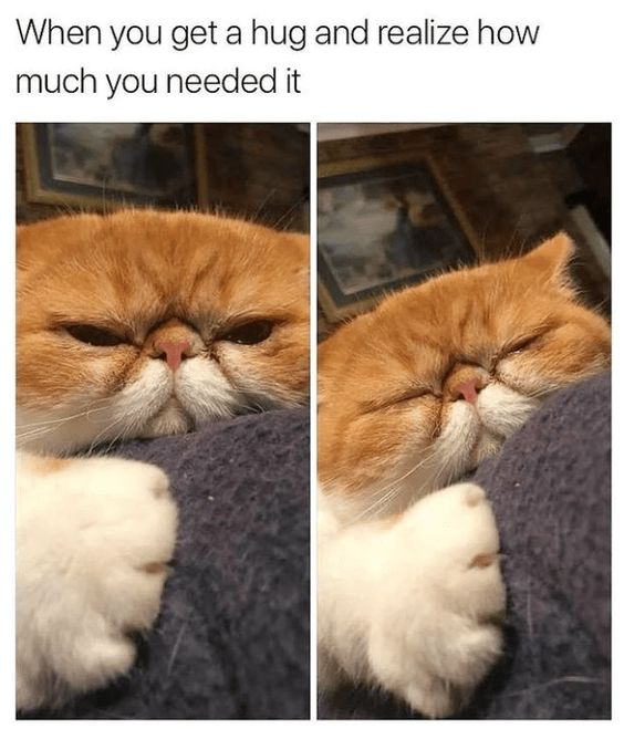 When you get a hug and realize how much you needed it