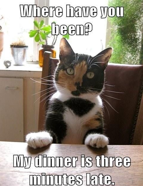 Where have you been? My dinner is three minutes late.