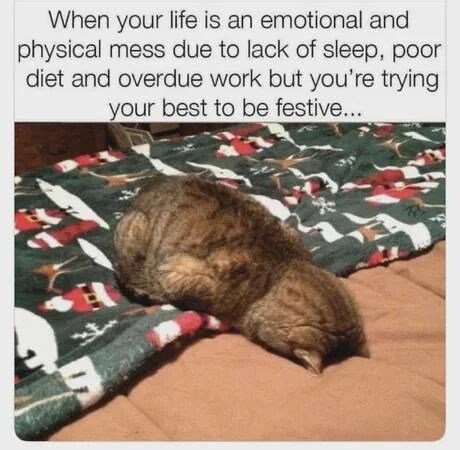When your life is an emotional and physical mess due to lack of sleep, poor diet and overdue work but you're trying your best to be festive... E