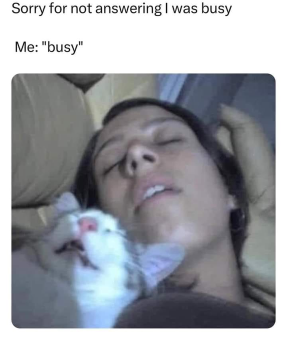 Sorry for not answering I was busy Me: "busy"