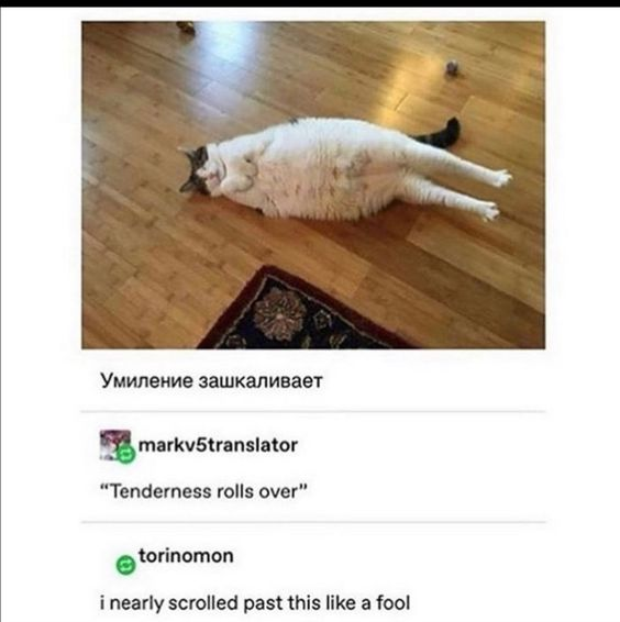 Умиление зашкаливает markv5translator "Tenderness rolls over" torinomon i nearly scrolled past this like a fool