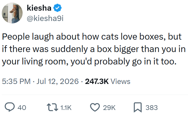 kiesha @kiesha9i People laugh about how cats love boxes, but if there was suddenly a box bigger than you in your living room, you'd probably go in it too. 5:35 PM ⚫ Jul 12, 2026 · 247.3K Views > 40 1.1K 29K ☐ 383
