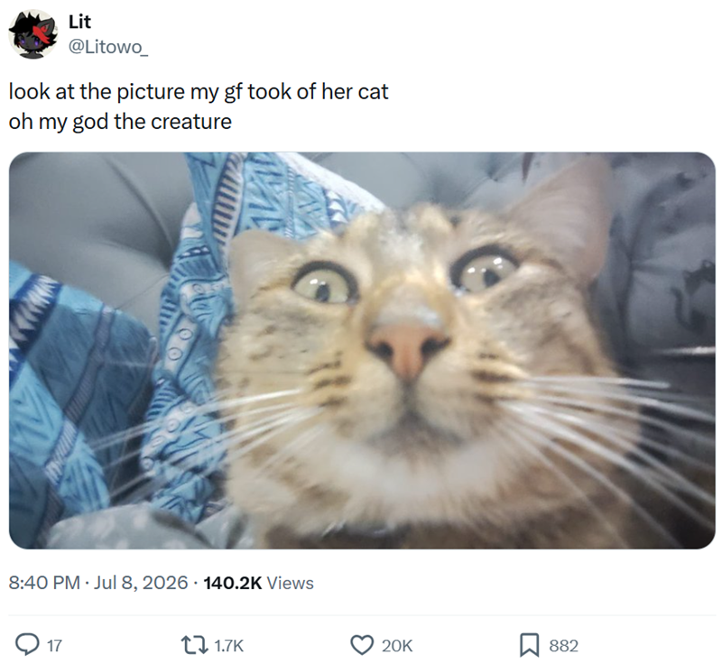 Lit @Litowo look at the picture my gf took of her cat oh my god the creature 8:40 PM ⚫ Jul 8, 2026 140.2K Views . 17 1.7K 20K 882