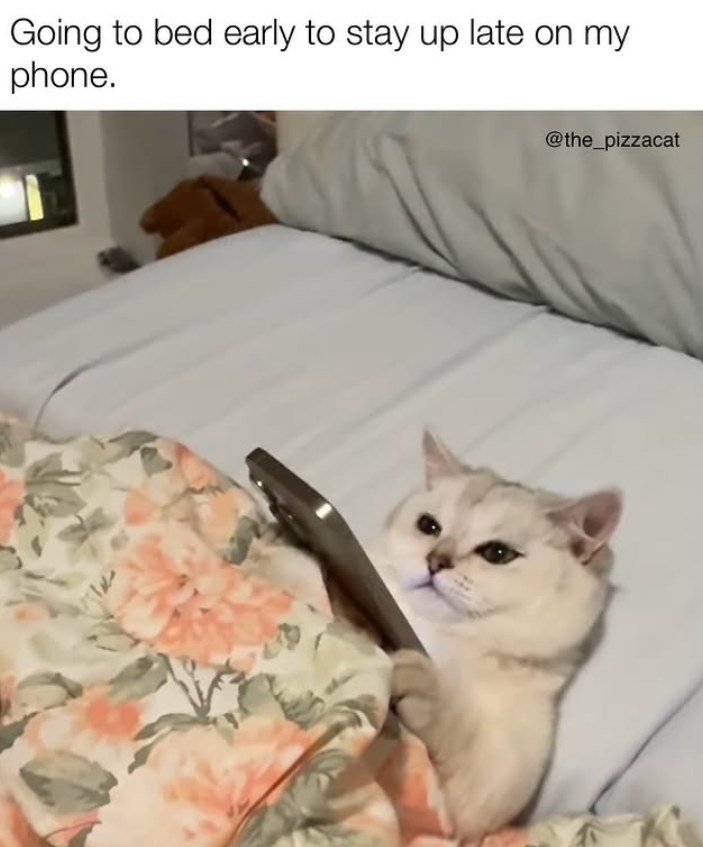 Going to bed early to stay up late on my phone. @the_pizzacat