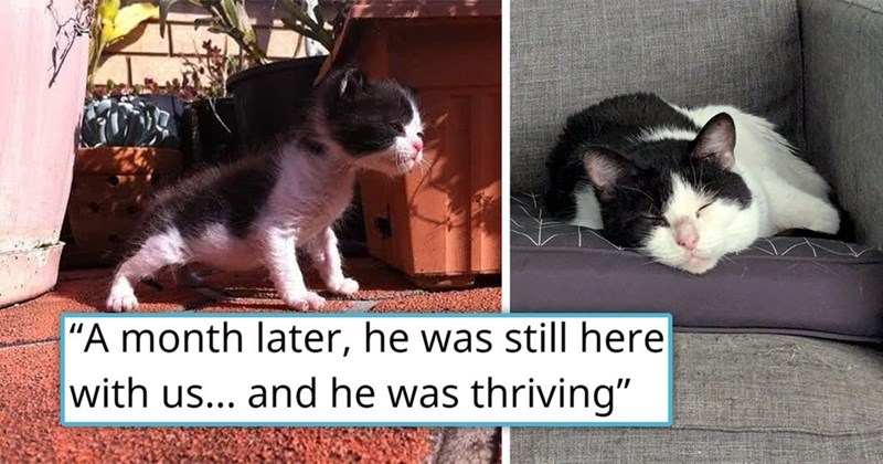 "A month later, he was still here with us... and he was thriving"