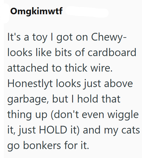 Omgkimwtf It's a toy I got on Chewy- looks like bits of cardboard attached to thick wire. Honestlyt looks just above garbage, but I hold that thing up (don't even wiggle it, just HOLD it) and my cats go bonkers for it.