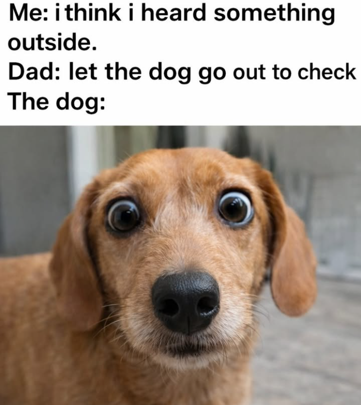 Me: i think i heard something outside. Dad: let the dog go out to check The dog: