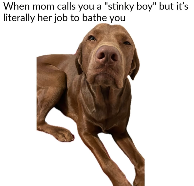 When mom calls you a "stinky boy" but it's literally her job to bathe you