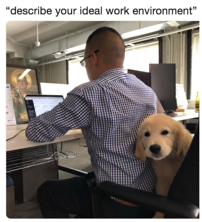 "describe your ideal work environment"