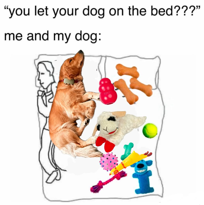 "you let your dog on the bed???" me and my dog: коно