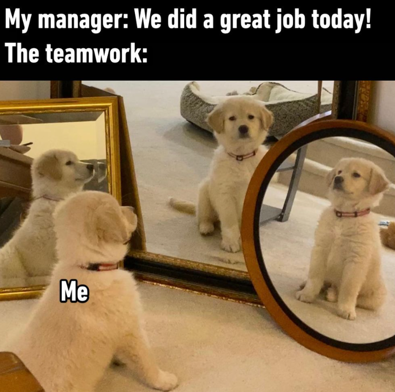 My manager: We did a great job today! The teamwork: Me