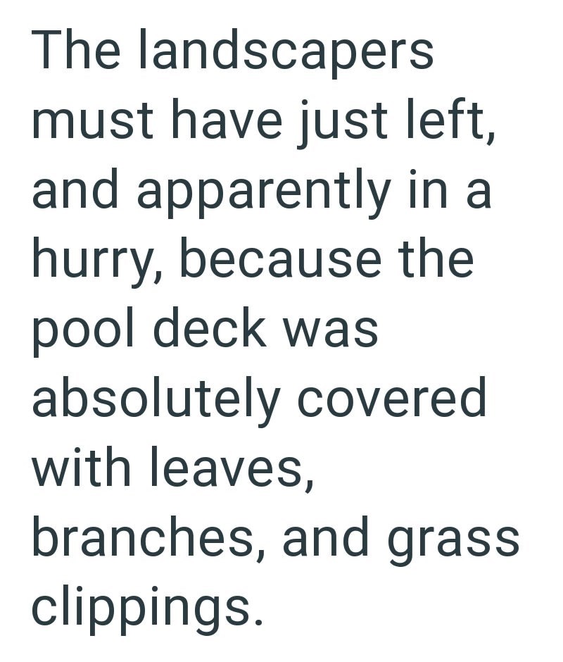 The landscapers must have just left, and apparently in a hurry, because the pool deck was absolutely covered with leaves, branches, and grass clippings.